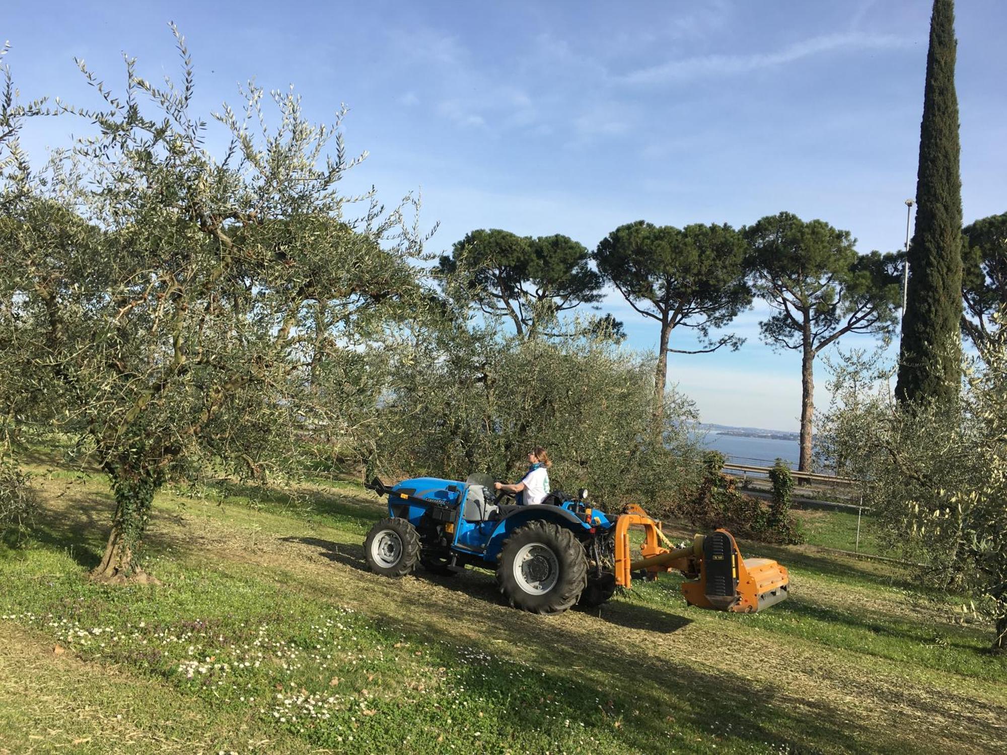 Agriturismo Nonna Bettina Moniga del Garda Exteriör bild