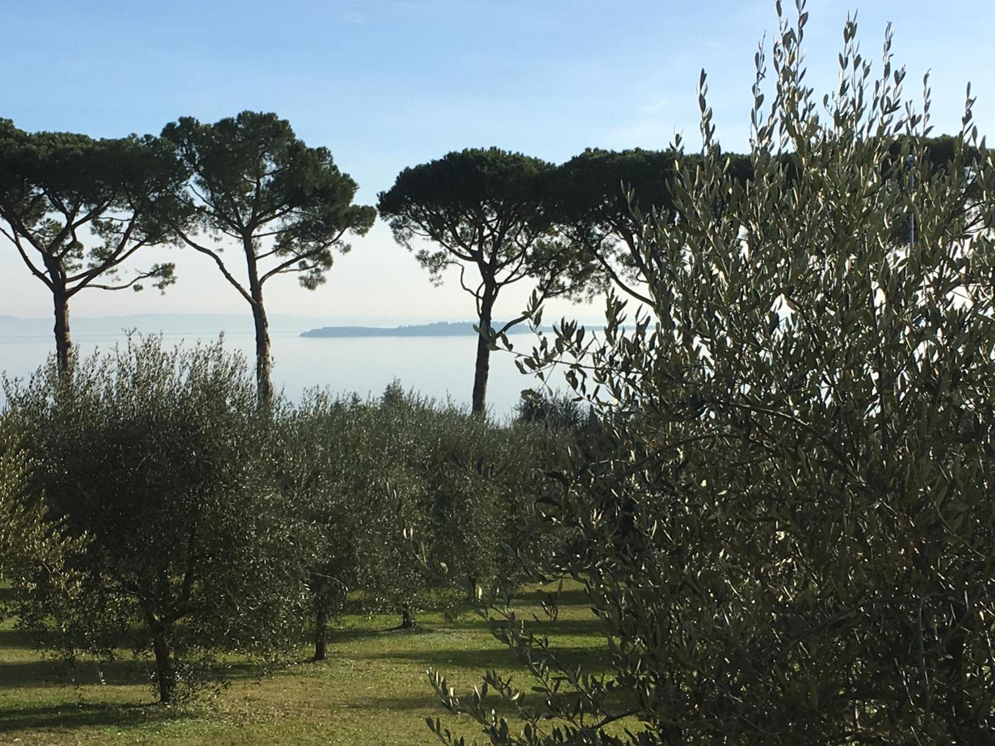 Agriturismo Nonna Bettina Moniga del Garda Exteriör bild
